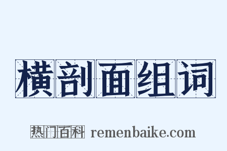 横剖面组词是什么意思的图片